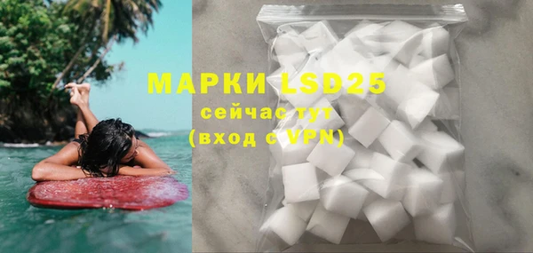 гашик Богданович