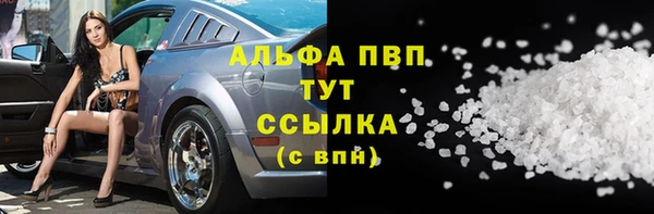 гашик Богданович