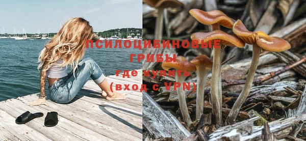 соль ск Белоозёрский