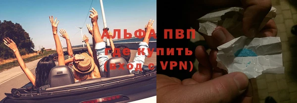 гашик Богданович