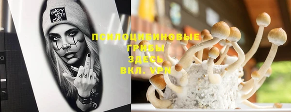 ГАЛЛЮЦИНОГЕННЫЕ ГРИБЫ Богородск