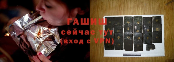 гашик Богданович