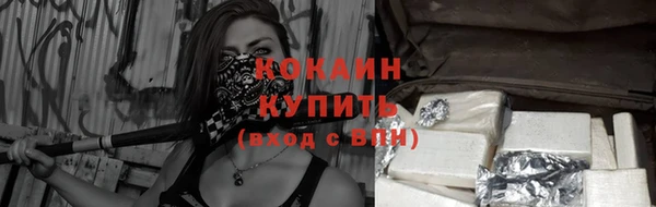 ALPHA PVP Богородицк