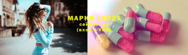 гашик Богданович