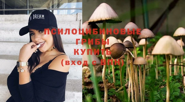 спайс Белокуриха