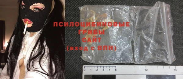 ALPHA PVP Богородицк