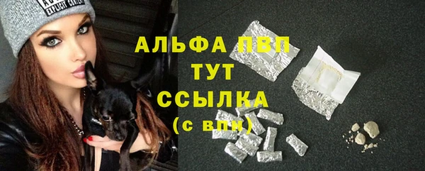 гашик Богданович