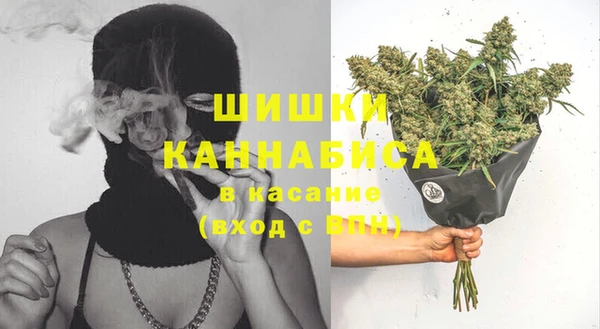 молекула духа Надым