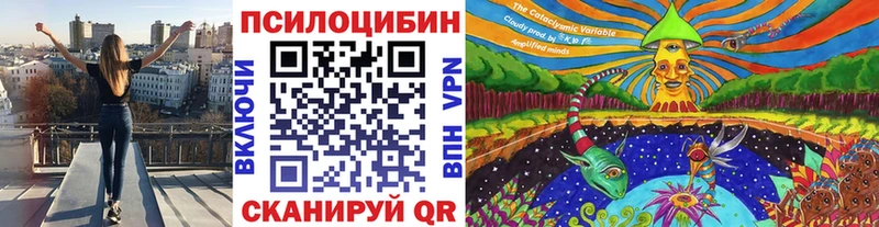 Галлюциногенные грибы прущие грибы  Бугульма 